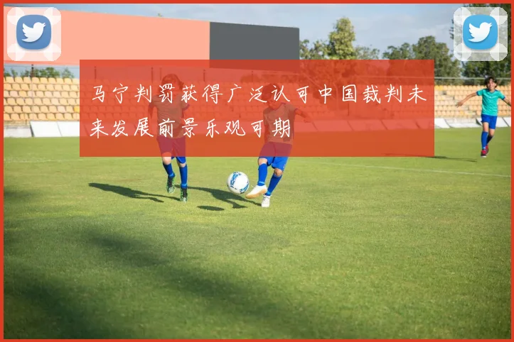 马宁判罚获得广泛认可中国裁判未来发展前景乐观可期