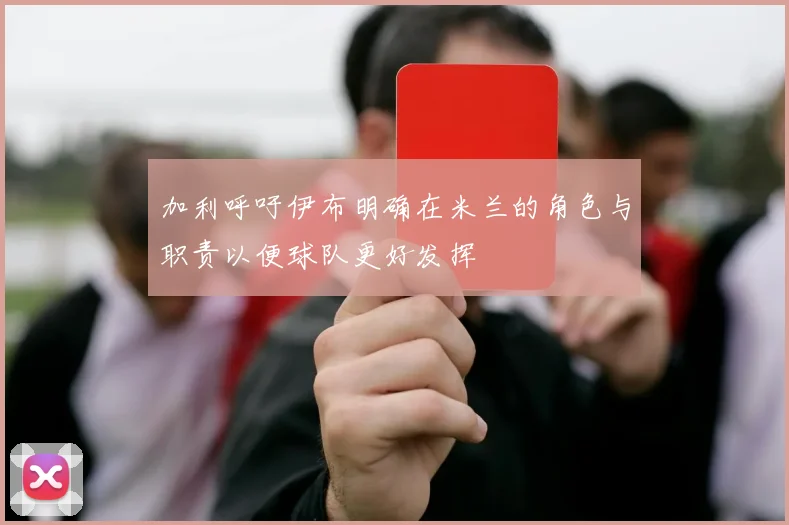 加利呼吁伊布明确在米兰的角色与职责以便球队更好发挥
