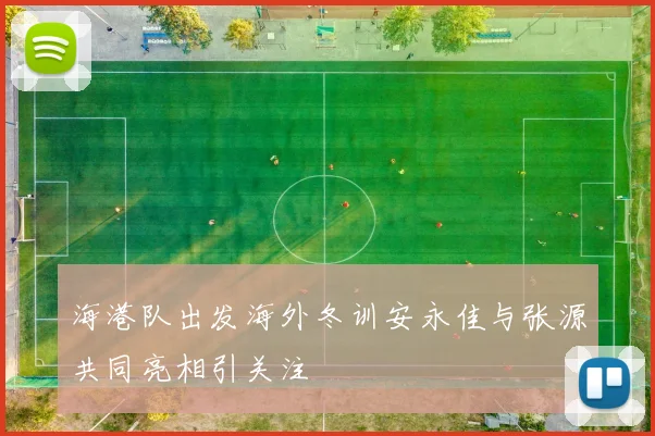 海港队出发海外冬训安永佳与张源共同亮相引关注